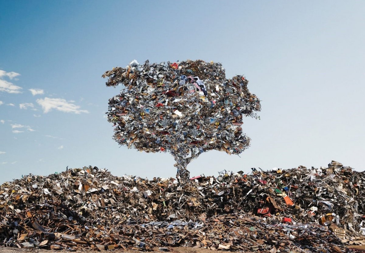 Виды мусора и его влияние на экологию