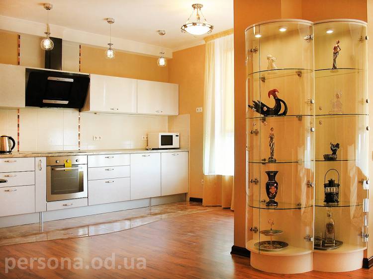 Кухня-студия со стеклянной витриной на заказ в Одесс