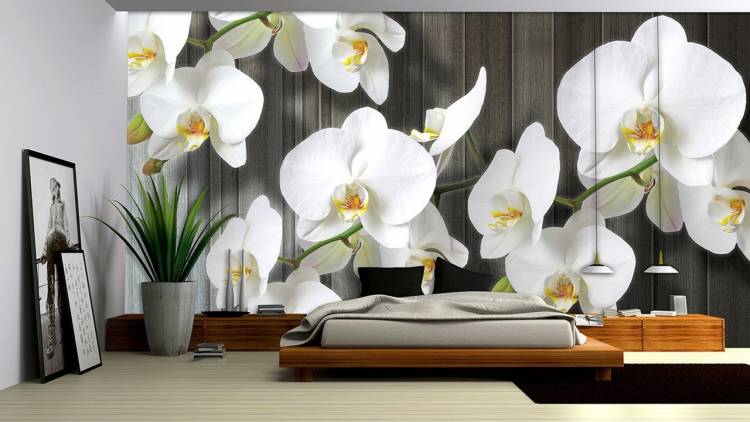Обои с орхидеями в интерьере гостиной