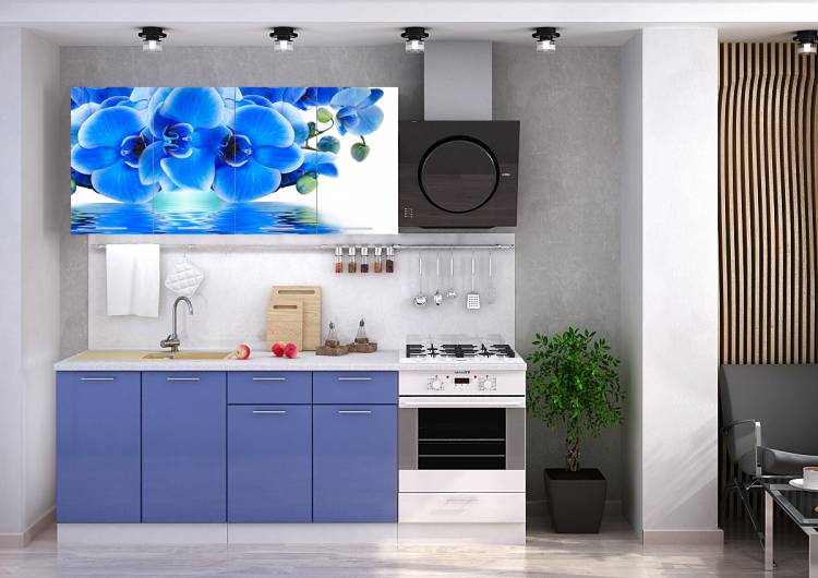 Кухня с фотопечатью Голубая орхидея