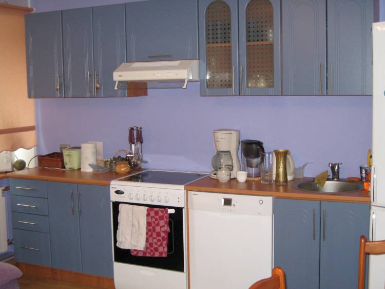 Кухня с двойным холодильником: 86 фото в интерьере