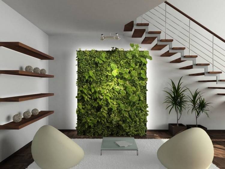 Вертикальное озеленение квартир в Москв