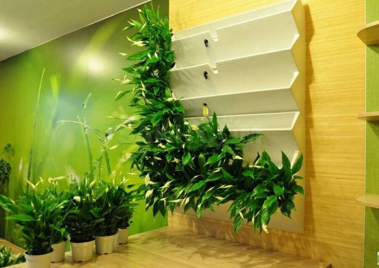 Вертикальное озеленение в интерьере квартиры или дом