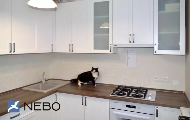 Белая кухня со столешницей из постформинга и фасадами из крашенного МДФ с частичным матовым остеклением