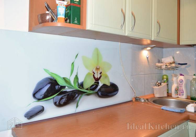 Стеклянный фартук для кухни Орхидеи