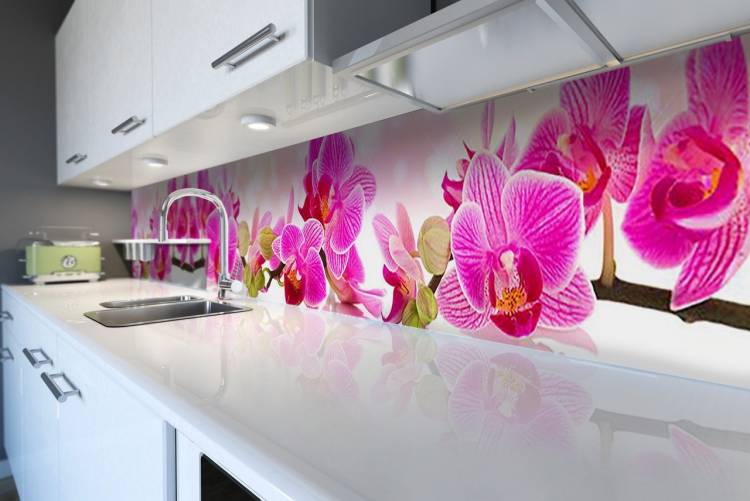 Кухня орхидея