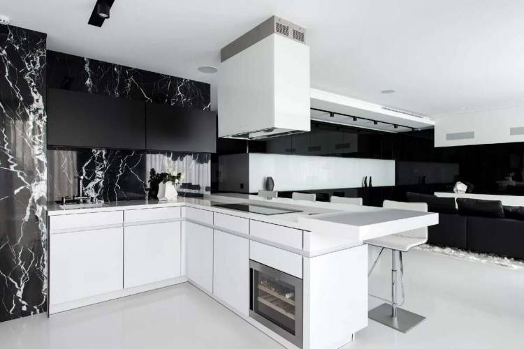 Дизайн кухни в черно белых тонах
