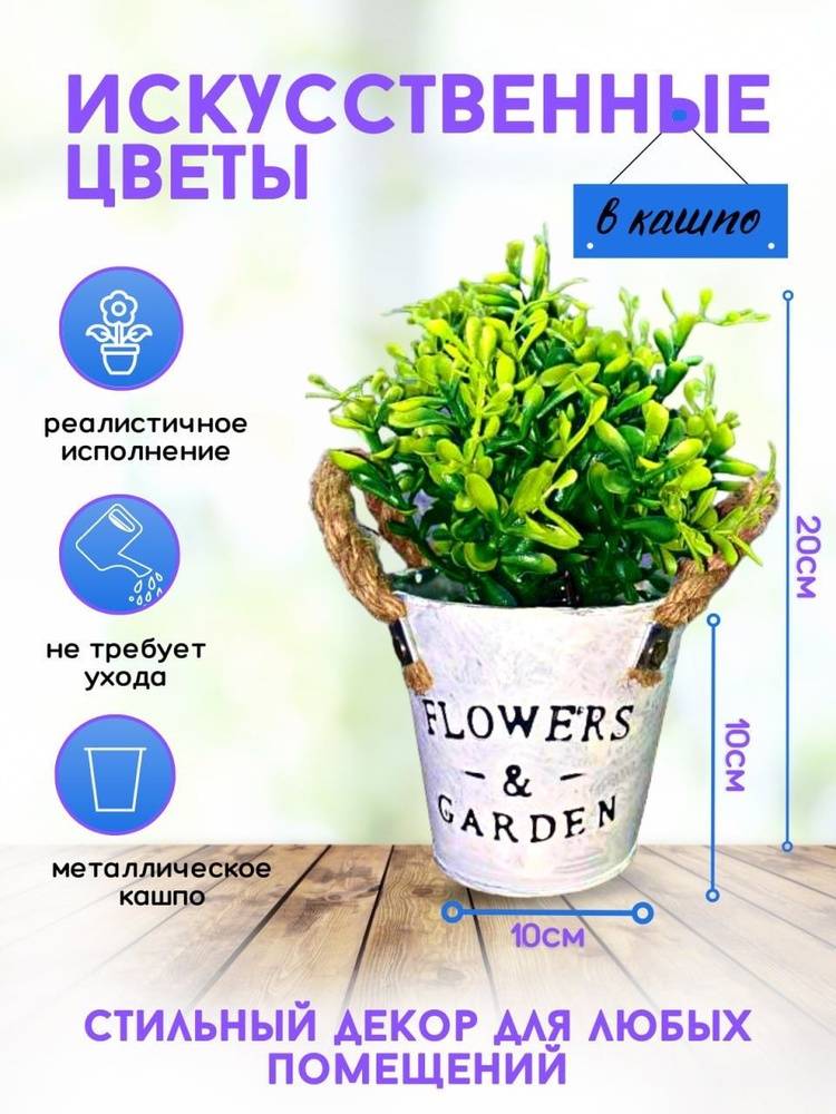 Декоративные зелень в горшочках для интерьера по выгодной цене в интернет-магазине OZON