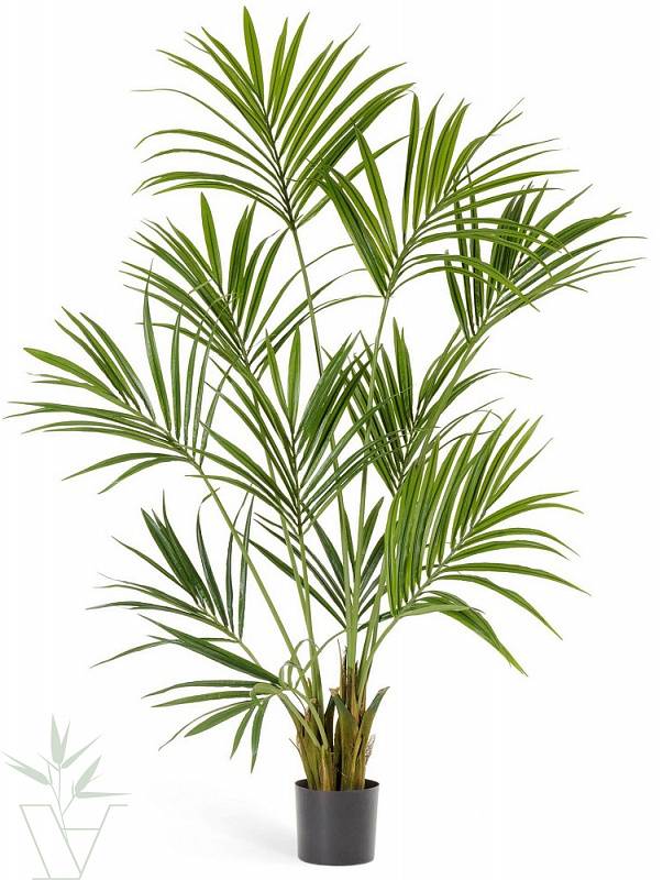искусственные растения Искусственное растение Пальма Кентия Ховея, высот