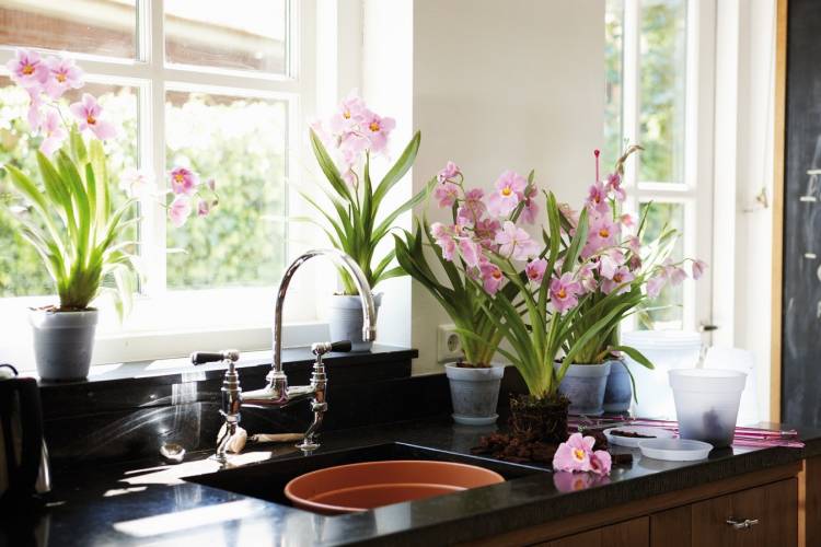 Искусственные цветы в интерьере кухни