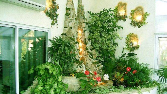 Дизайн лучших видов вьющихся и ампельных комнатных растений с названиями и фот