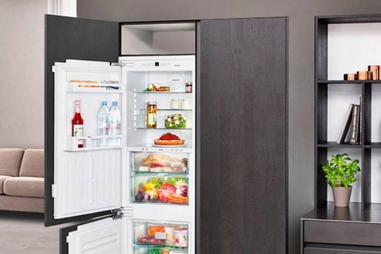 Как выбрать встроенный холодильник для кухни