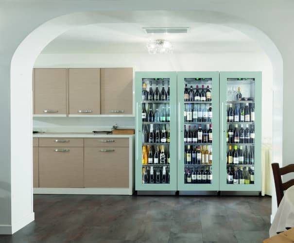 Как выбрать винный шкаф для дома или квартиры, его основные параметры и главные критерии выбор
