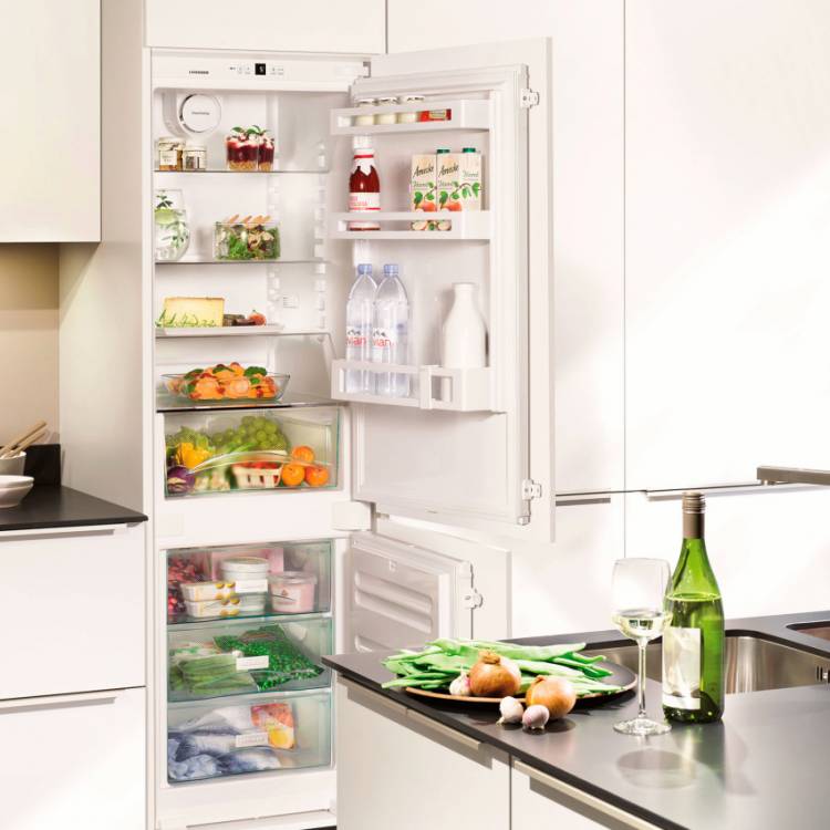 Каких размеров бывают холодильники
