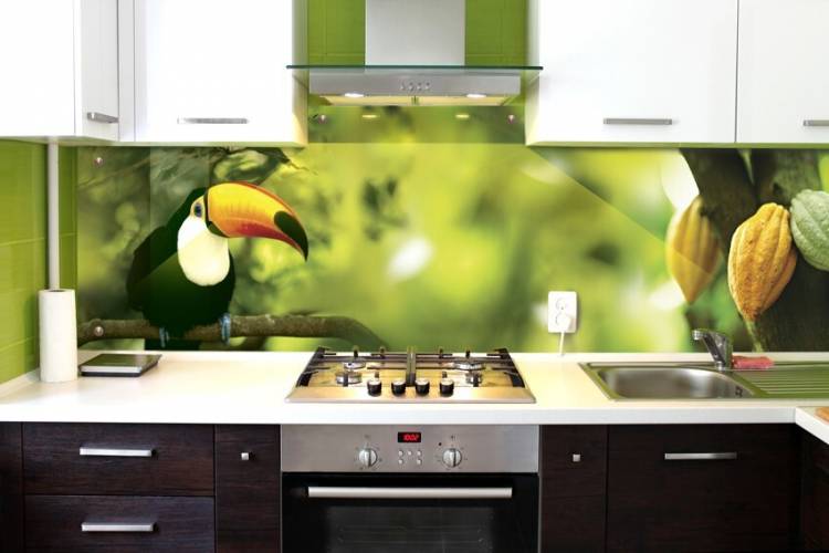 Фартук на кухню из каленого стекла с изображением Тропический попугай от производителя
