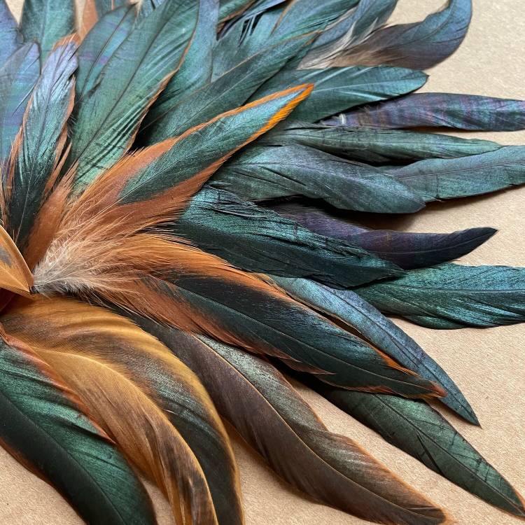 Дизайн шт) Натуральные (некрашеные) перья петуха в интернет