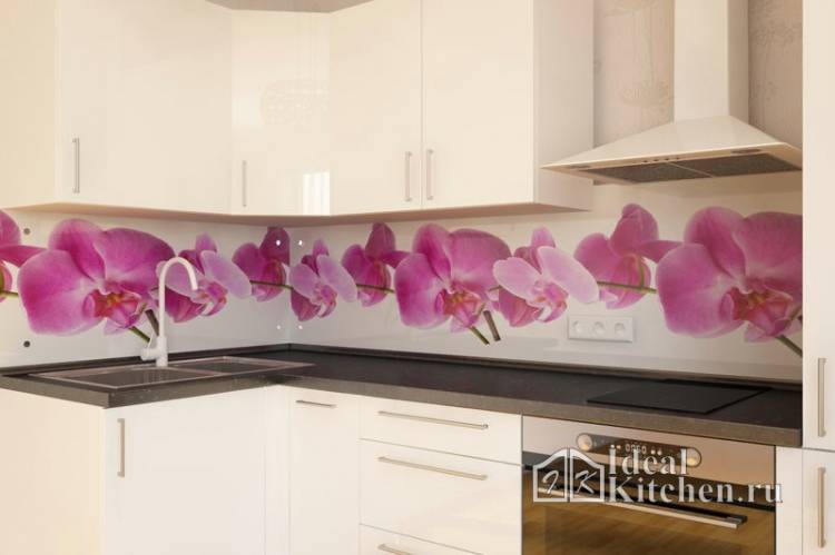 Стеклянный фартук для кухни Орхидеи