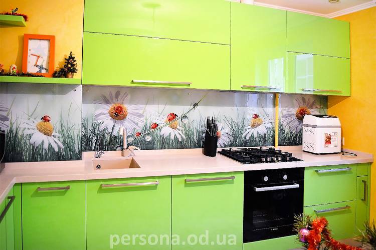 Кухня с ромашками на заказ в Одесс