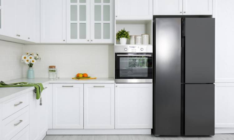 Преимущества и недостатки двухдверных холодильников