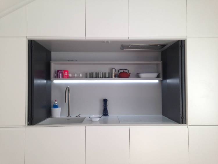 Кухня шкаф для студий: 103 фото в интерьере