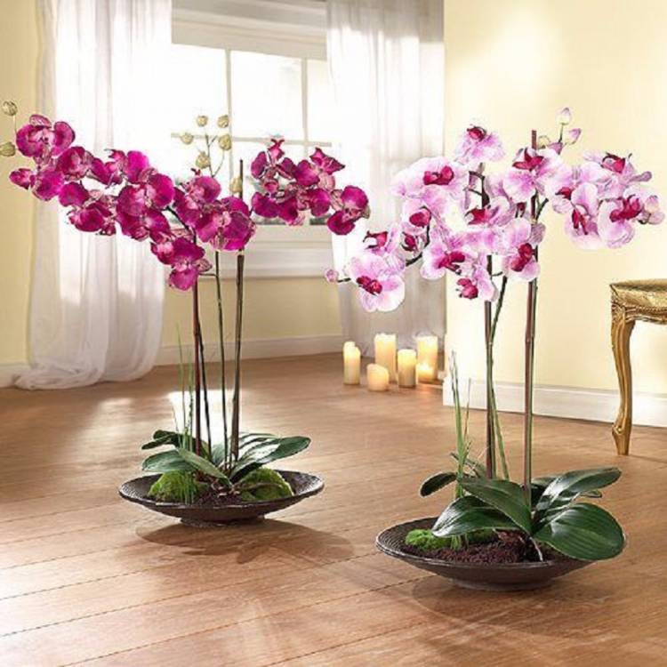 Комнатные цветы и растения в интерьере, в том числе искусственные, какие можно держать в спальне, гостиной, как красиво расставить