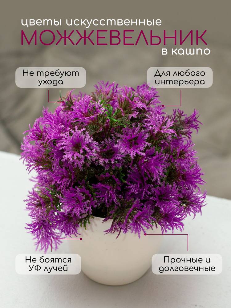 Искусственные цветы в горшке, комнатные растения в кашпо для декора и интерьера, можжевельник по выгодной цене в интернет-магазине OZON