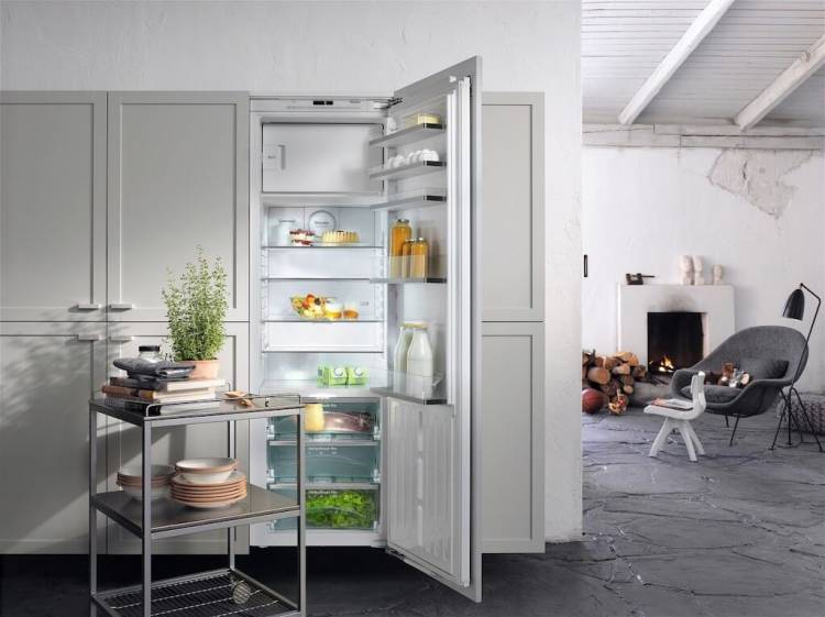 Встроенный холодильник в интерьере кухни, гостиной, прихожей