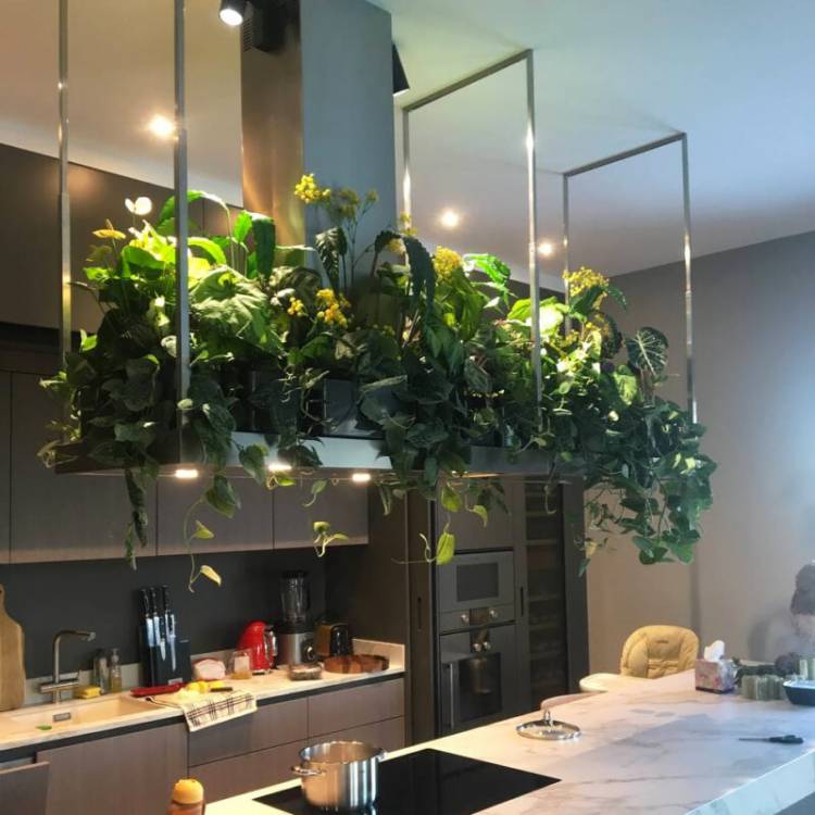Озеленение кухни: 114+ идей стильного дизайна