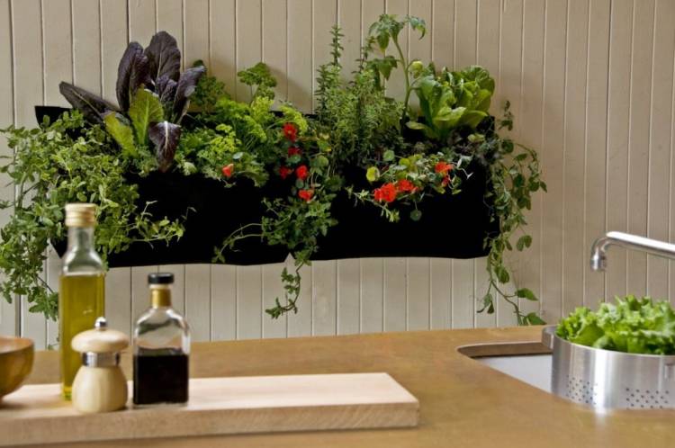 Дизайн лучших комнатных растений для кухни
