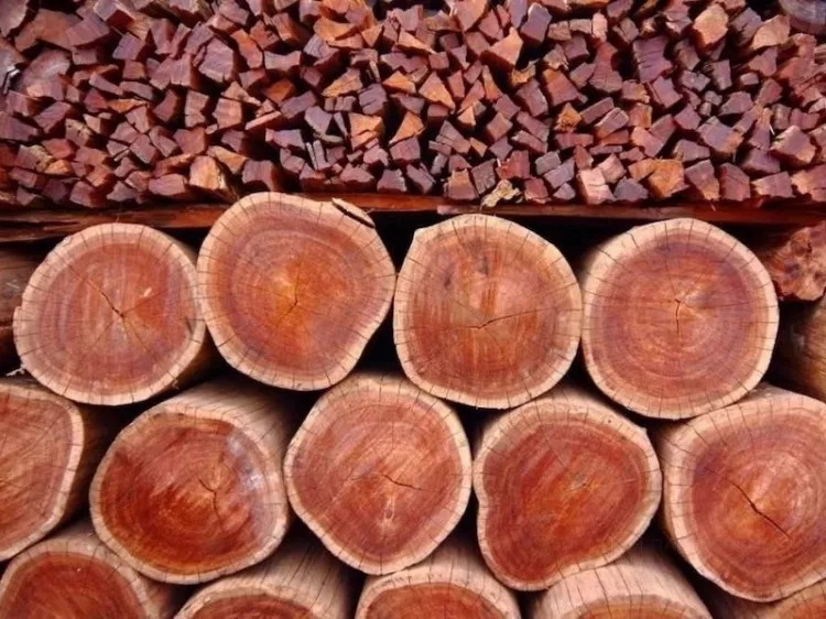 Какие изделия из дерева пользуются спросом и быстро продаются