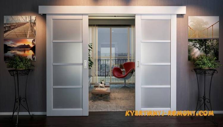 Раздвижные стеклянные двери на кухню: 103+ идей дизайна