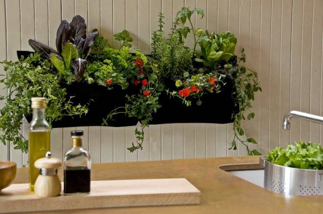 Комнатные растения в интерьере квартиры и жилого дома, декоративные искусственные растения для интерьер