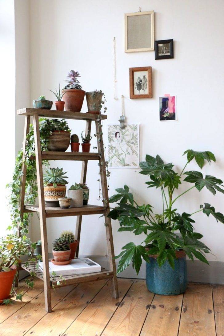 Комнатные растения в интерьере квартиры, мод
