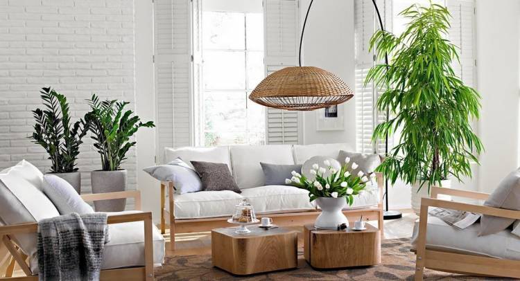 Комнатные растения в интерьере квартиры и дом