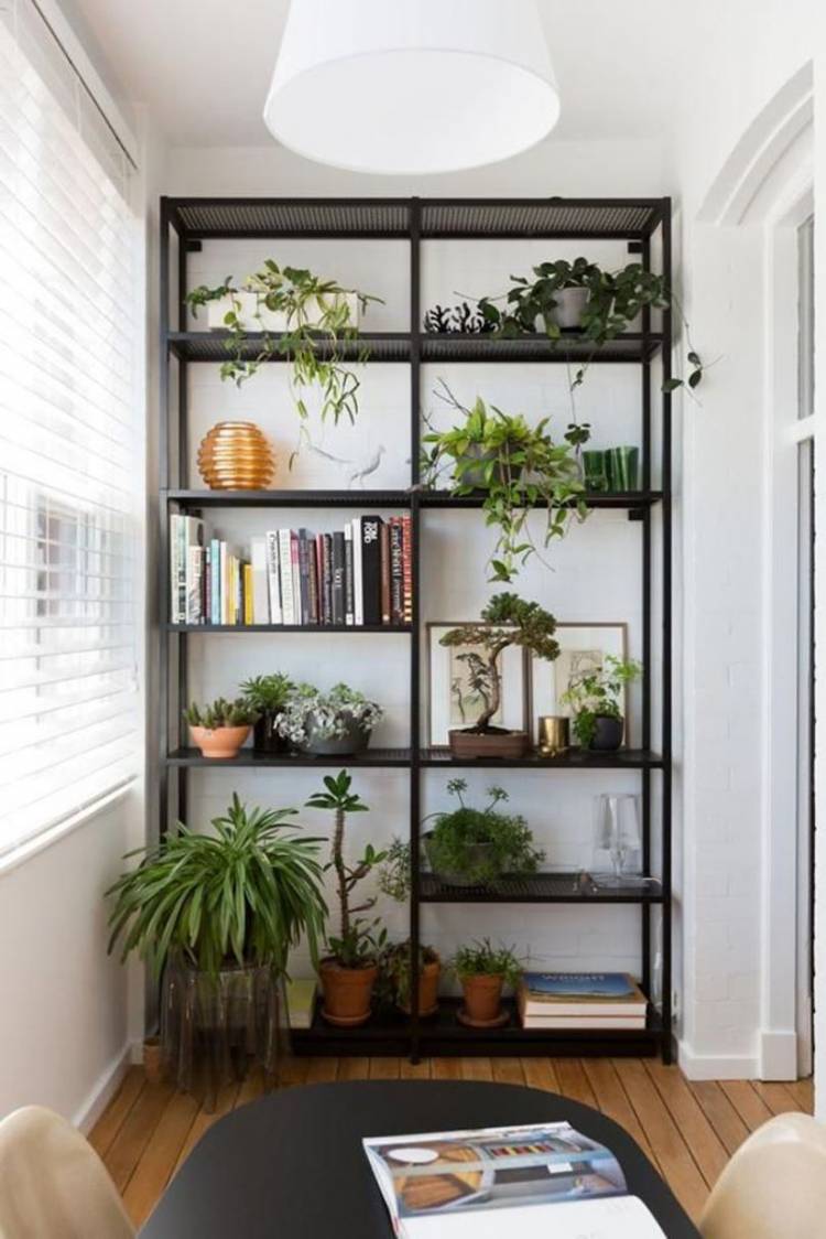 Комнатные растения в интерьере квартиры и дома (фото)