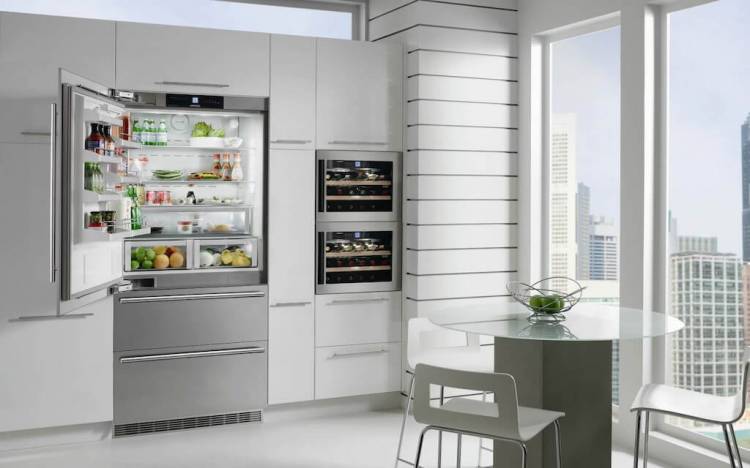 Встроенный холодильник в интерьере кухни, гостиной, прихожей