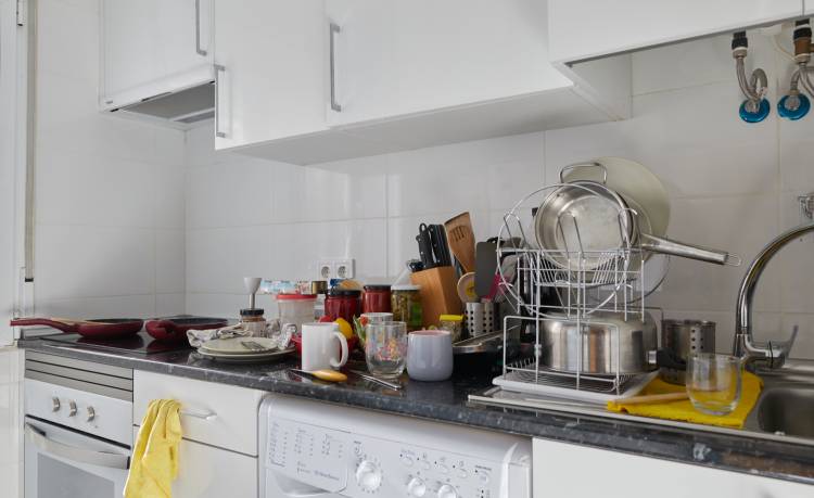 Почему уборку кухни следует выполнять ежеднев