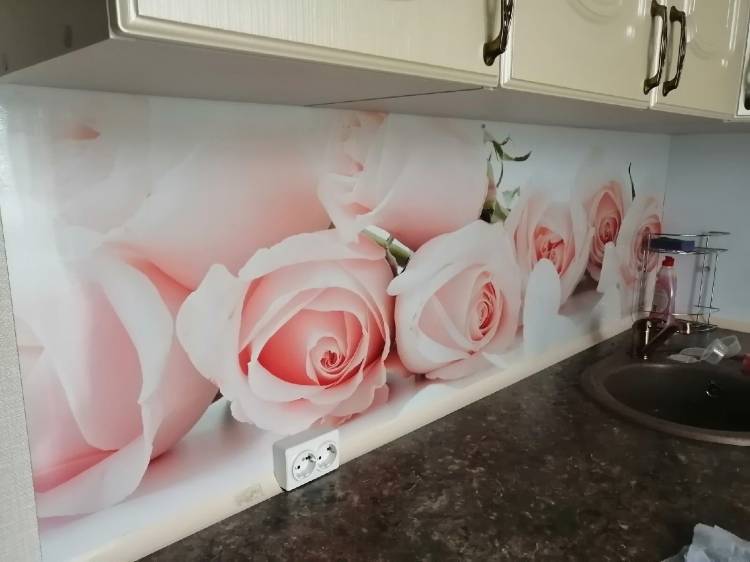Светло бежевые розы на фартуке для кухни