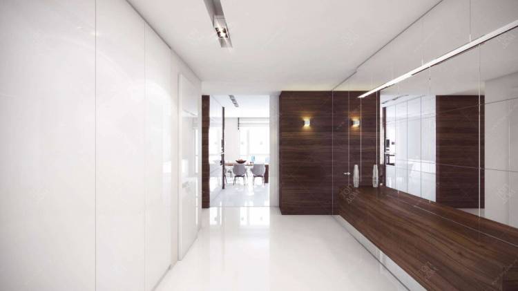 Зеркальный дизайн интерьера квартиры