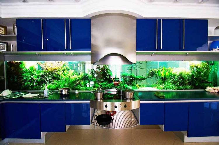 Аквариум в интерьере кухни красивые фото декоративных аквариумов
