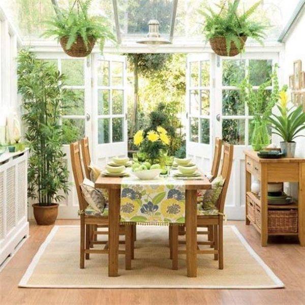 Цветы и комнатные растения для кухни