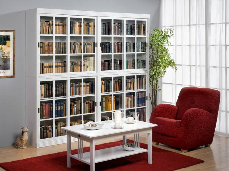 Книжные шкафы и стеллажи, какая из конструкций лучше и удобней