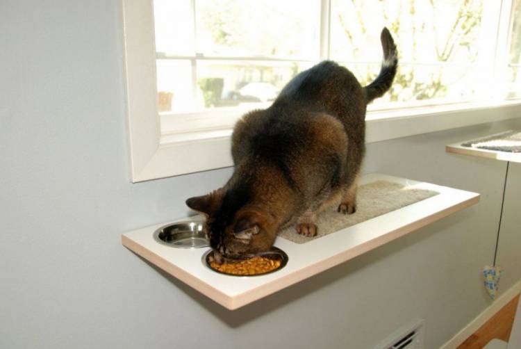 Место для кормления кошки на кух
