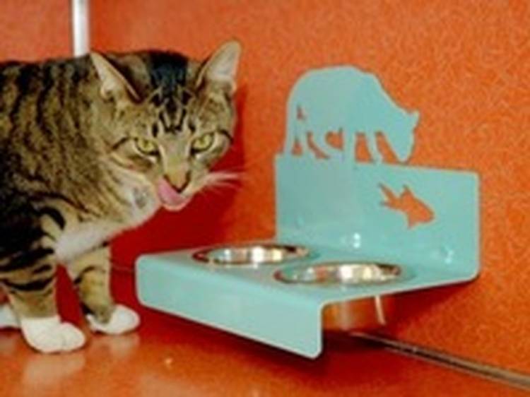 Почему кошка достает корм из миски?