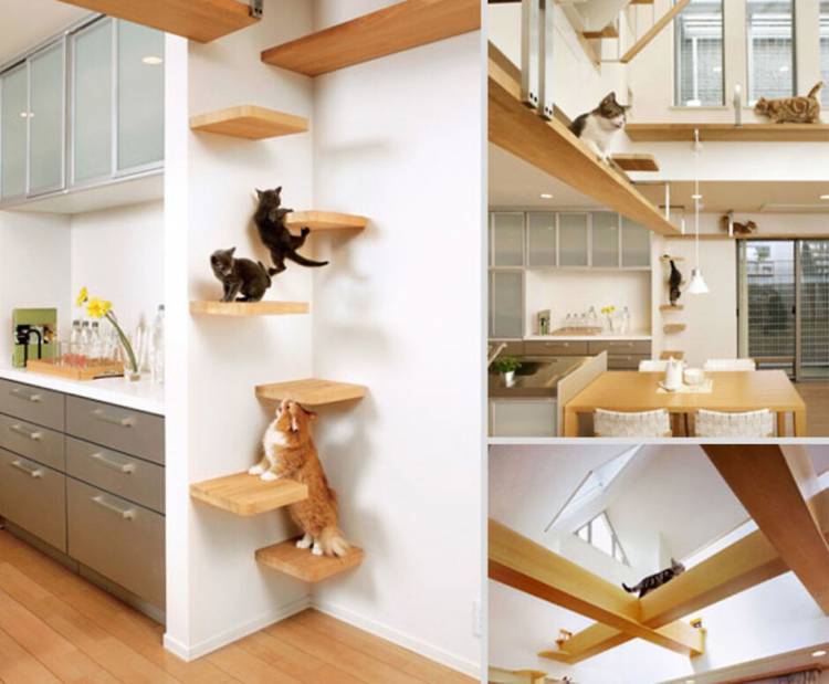 Место для еды кошки на кухне: 110+ идей дизайна