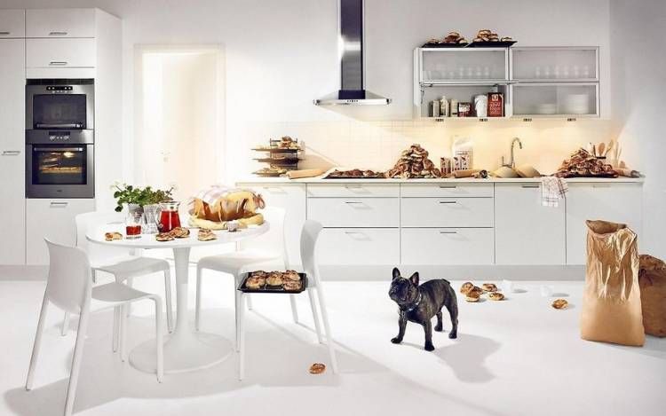 Место для еды кошки на кухне: 110+ идей дизайна